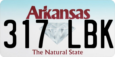AR license plate 317LBK