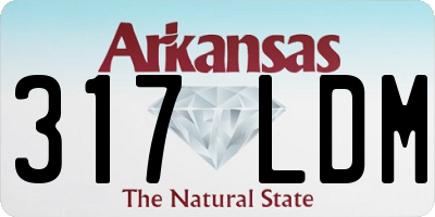 AR license plate 317LDM