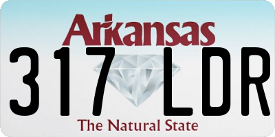AR license plate 317LDR