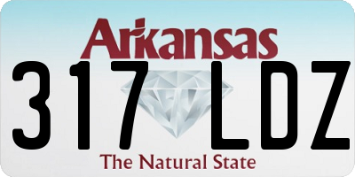 AR license plate 317LDZ