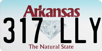 AR license plate 317LLY
