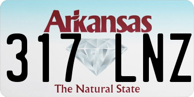 AR license plate 317LNZ
