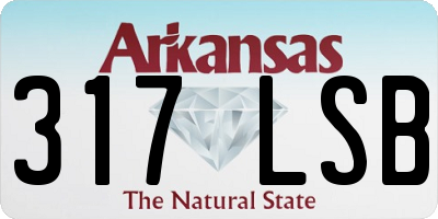 AR license plate 317LSB