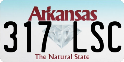AR license plate 317LSC