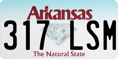 AR license plate 317LSM