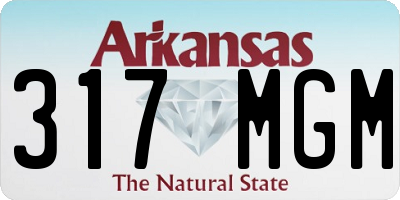 AR license plate 317MGM