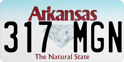 AR license plate 317MGN