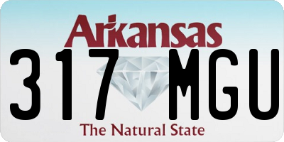 AR license plate 317MGU