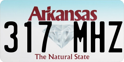 AR license plate 317MHZ