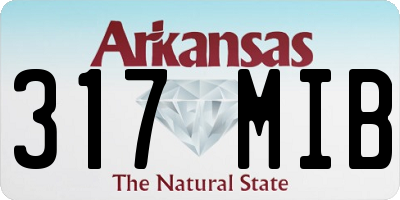 AR license plate 317MIB