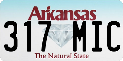 AR license plate 317MIC