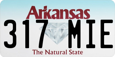 AR license plate 317MIE
