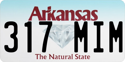 AR license plate 317MIM