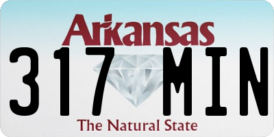 AR license plate 317MIN