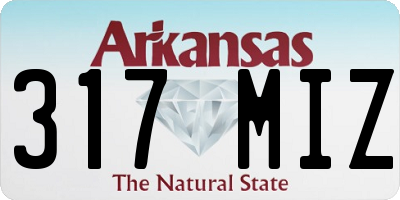 AR license plate 317MIZ