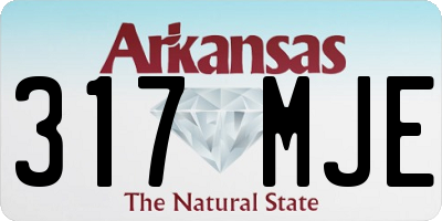 AR license plate 317MJE