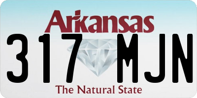 AR license plate 317MJN
