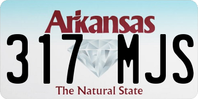 AR license plate 317MJS