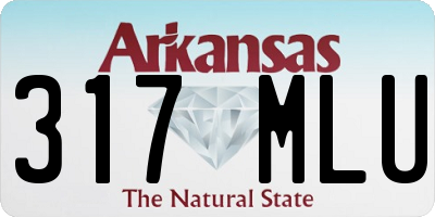 AR license plate 317MLU