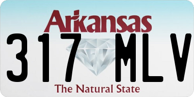 AR license plate 317MLV