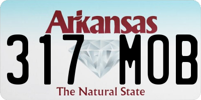 AR license plate 317MOB