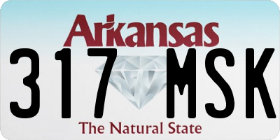 AR license plate 317MSK
