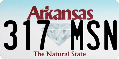 AR license plate 317MSN