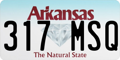AR license plate 317MSQ
