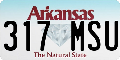AR license plate 317MSU