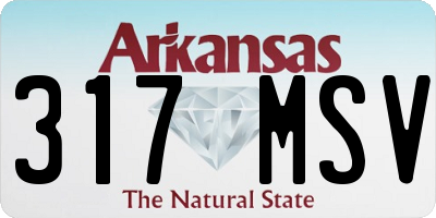AR license plate 317MSV