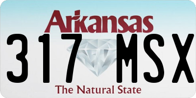 AR license plate 317MSX
