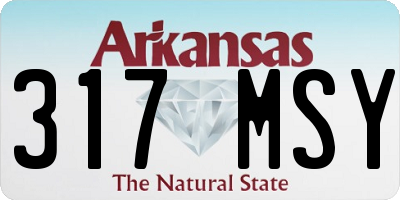 AR license plate 317MSY