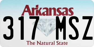 AR license plate 317MSZ