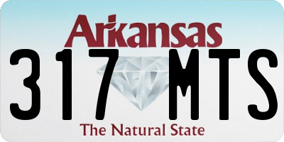 AR license plate 317MTS