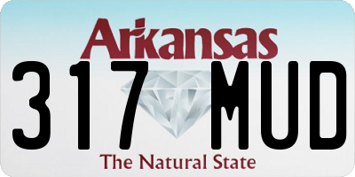AR license plate 317MUD
