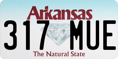 AR license plate 317MUE