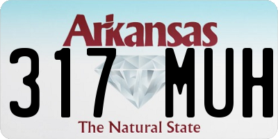 AR license plate 317MUH