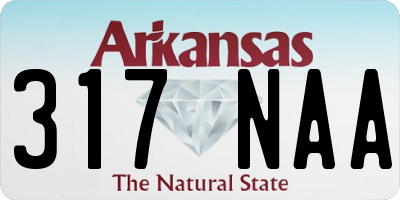 AR license plate 317NAA