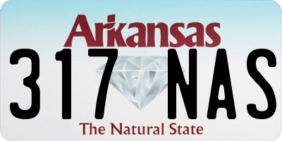 AR license plate 317NAS