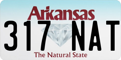 AR license plate 317NAT