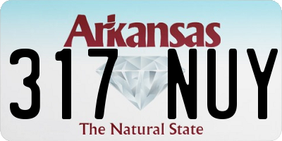 AR license plate 317NUY