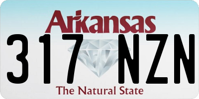 AR license plate 317NZN