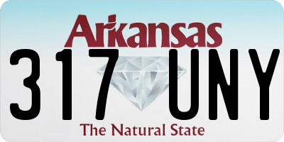 AR license plate 317UNY