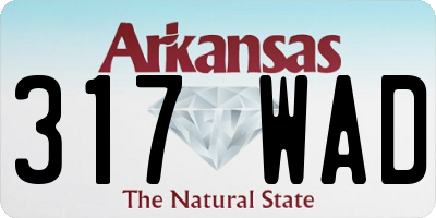 AR license plate 317WAD