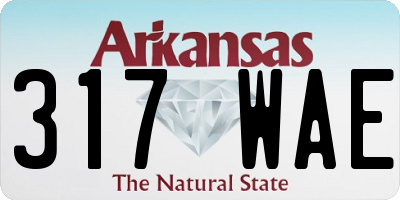 AR license plate 317WAE