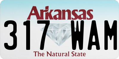 AR license plate 317WAM