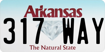 AR license plate 317WAY