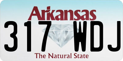 AR license plate 317WDJ