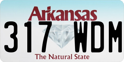AR license plate 317WDM