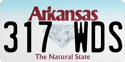 AR license plate 317WDS